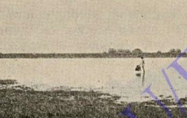 История Аксайско-Донского займища