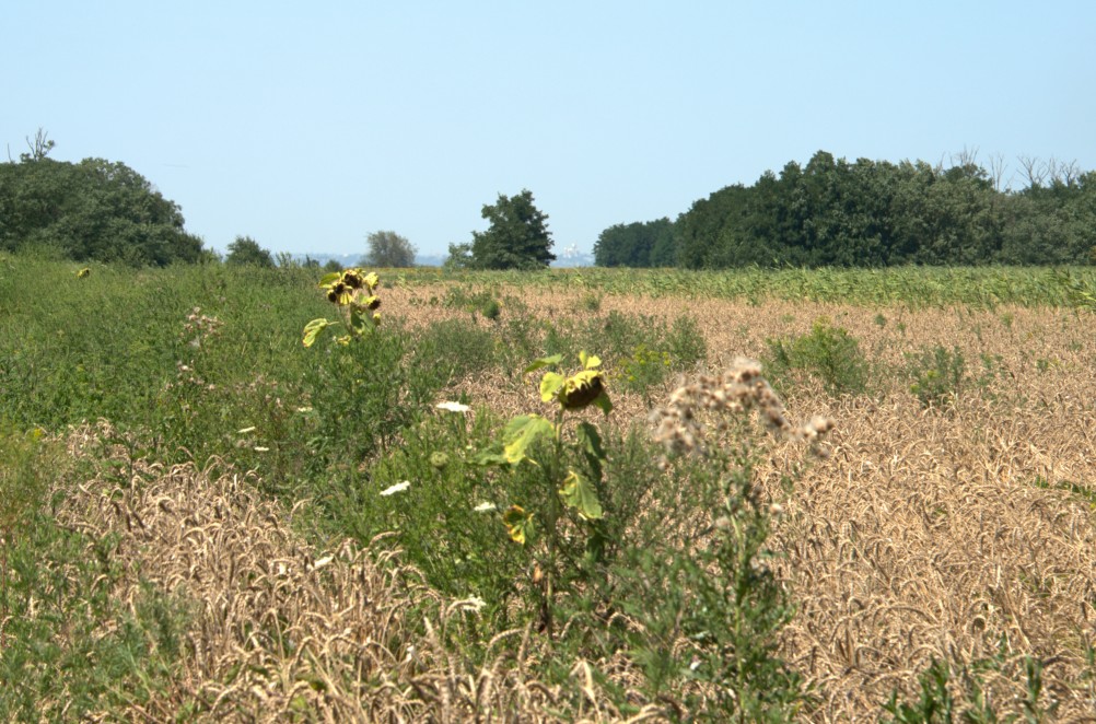 История Аксайско-Донского займища