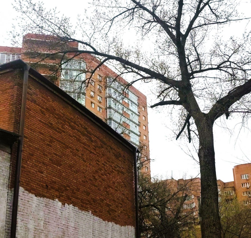 Старые сельмашевские стены