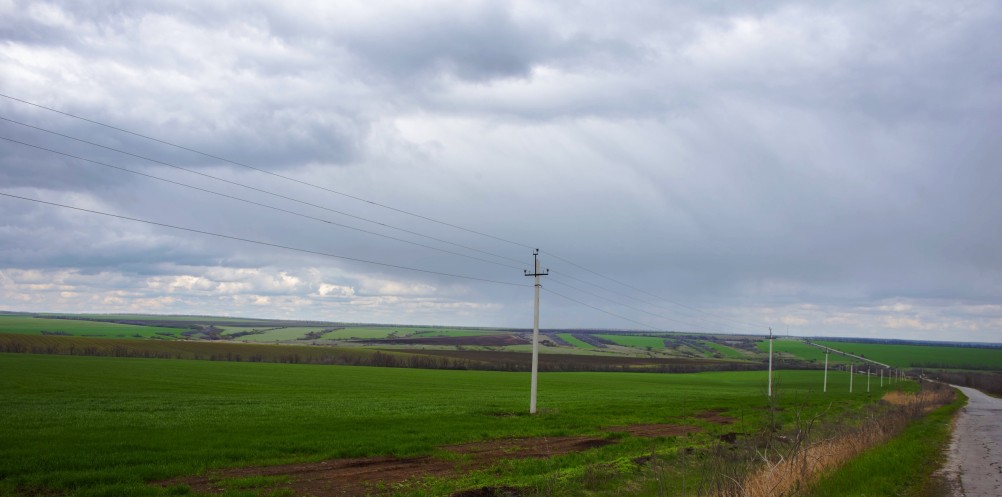 Желтый мир Бургусты
