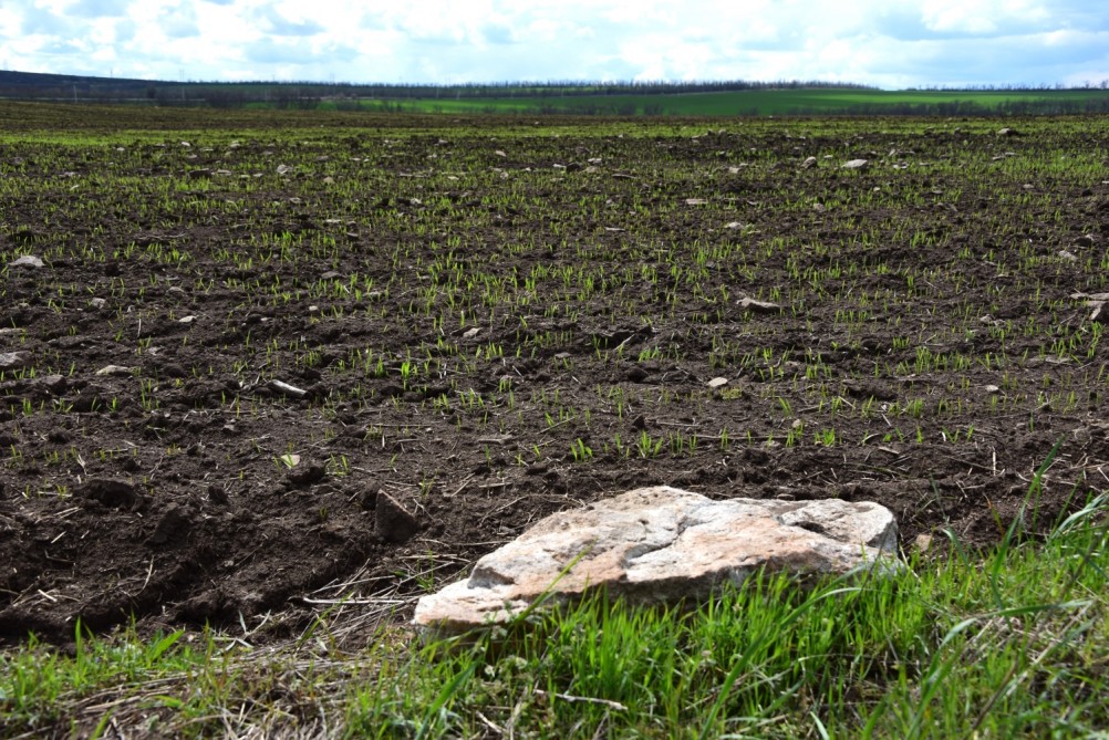 Желтый мир Бургусты