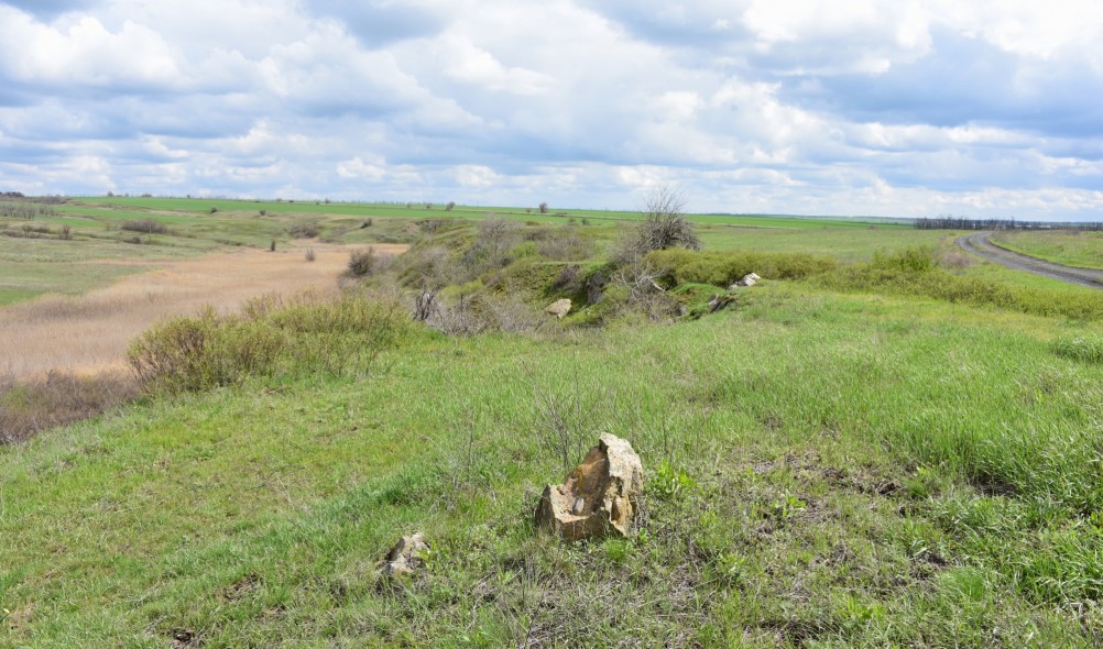 Желтый мир Бургусты