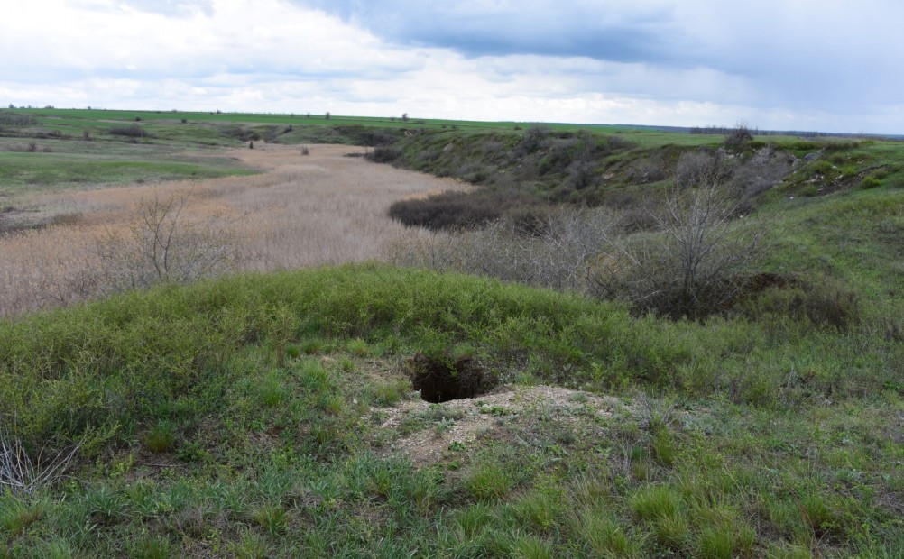 Желтый мир Бургусты