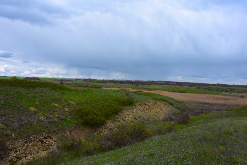 Желтый мир Бургусты