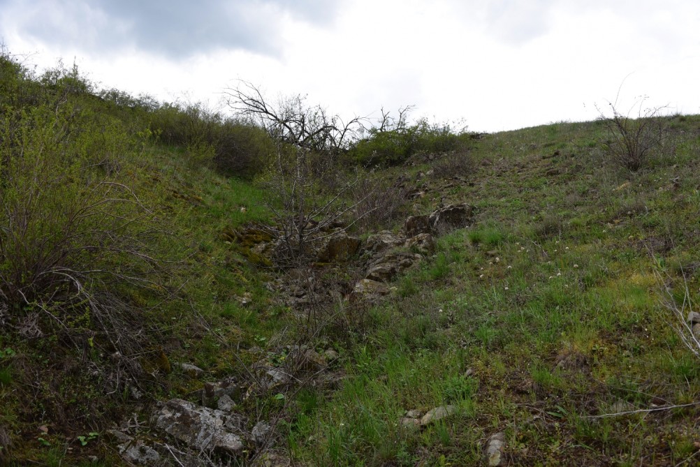 Желтый мир Бургусты