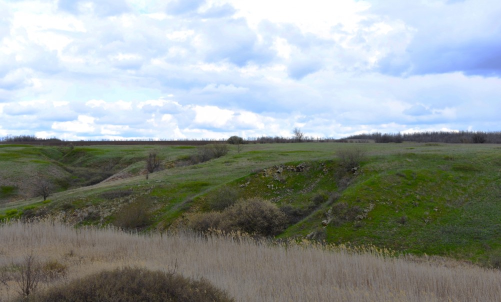 Желтый мир Бургусты