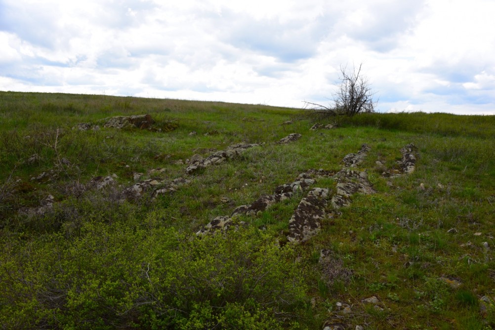 Желтый мир Бургусты