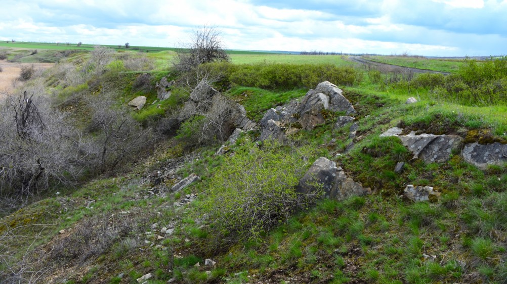 Желтый мир Бургусты