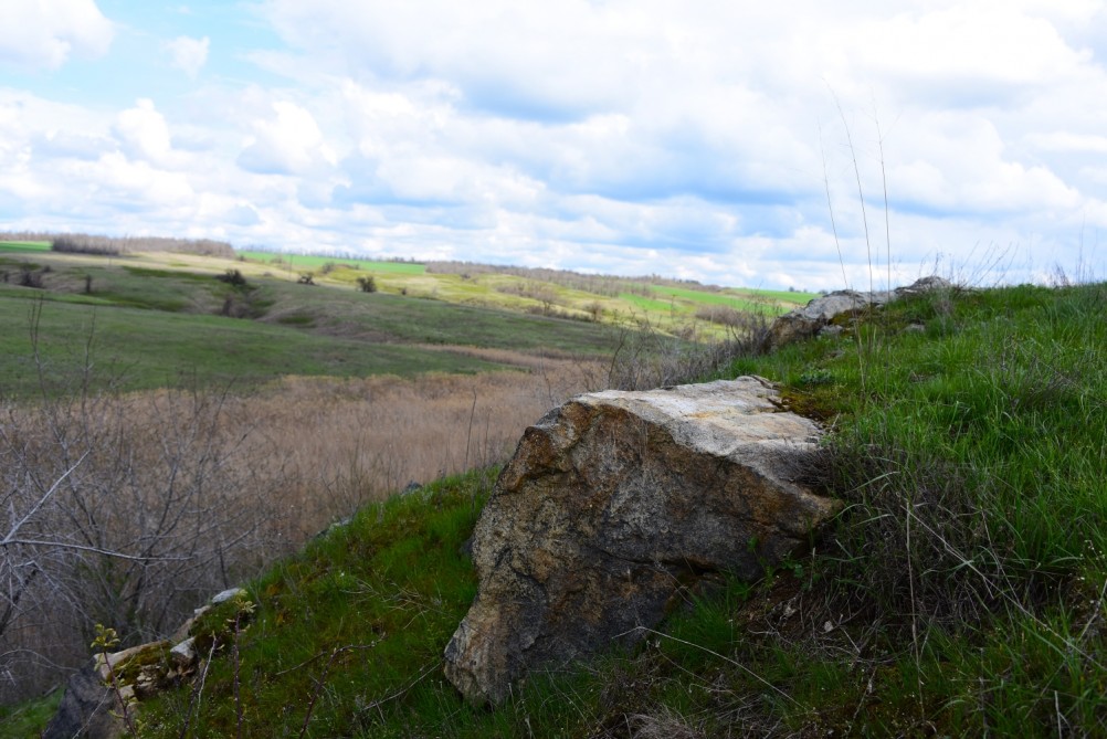 Желтый мир Бургусты