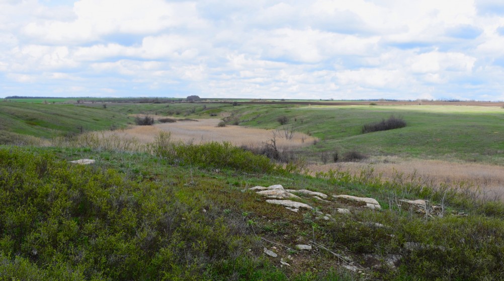 Желтый мир Бургусты