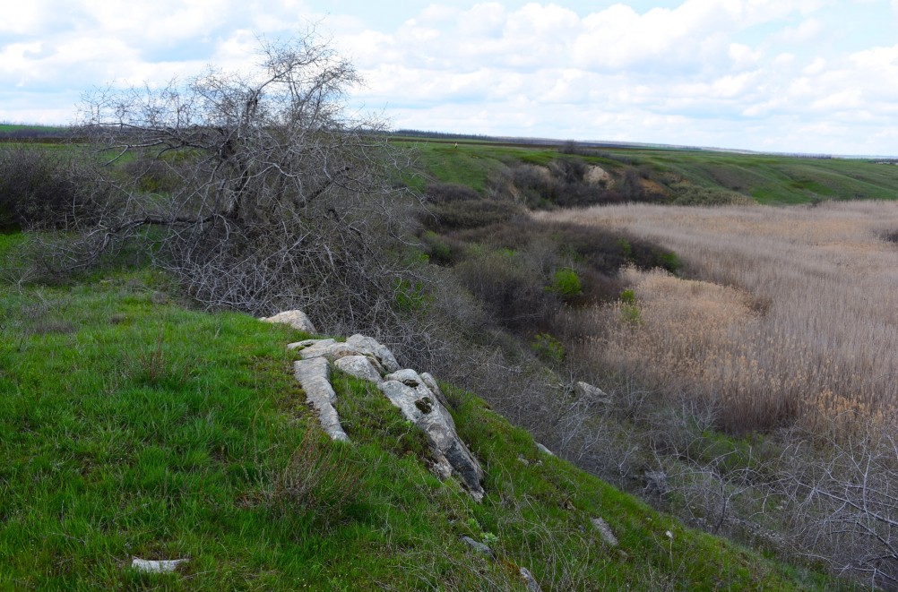 Желтый мир Бургусты