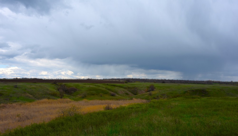 Желтый мир Бургусты