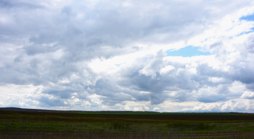 Желтый мир Бургусты