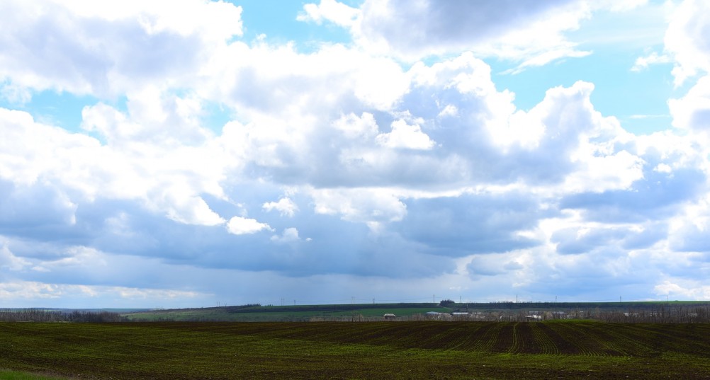 Желтый мир Бургусты