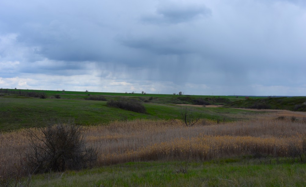 Желтый мир Бургусты