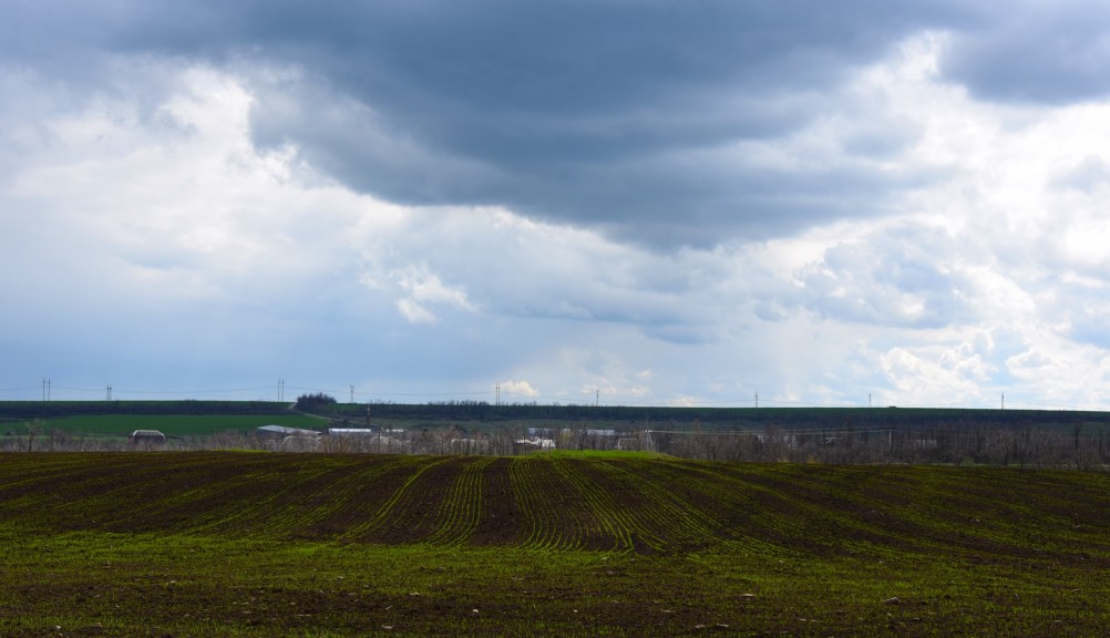 Желтый мир Бургусты