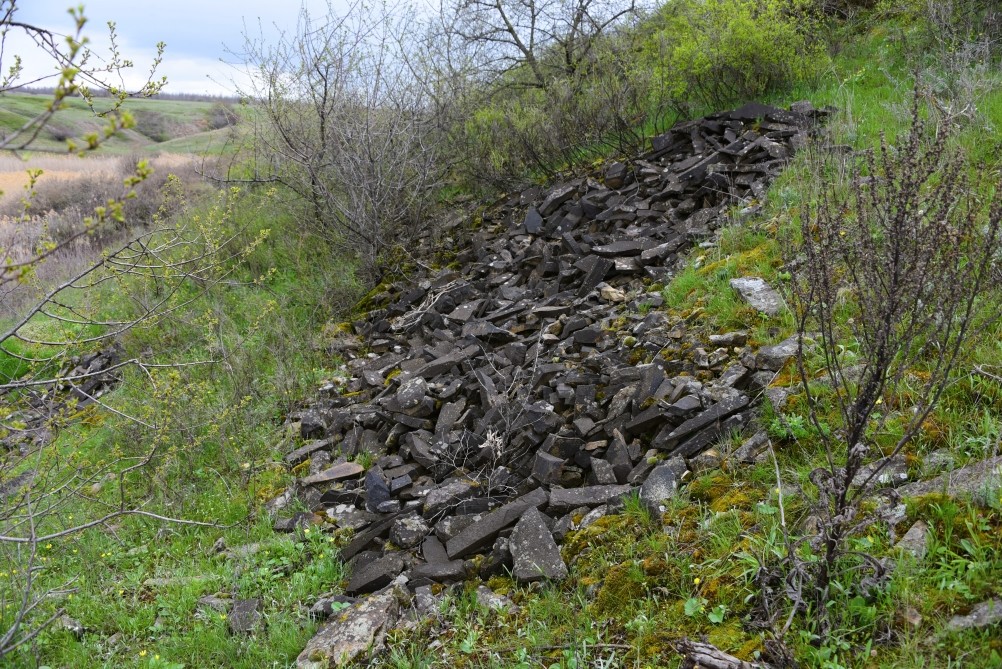 Желтый мир Бургусты