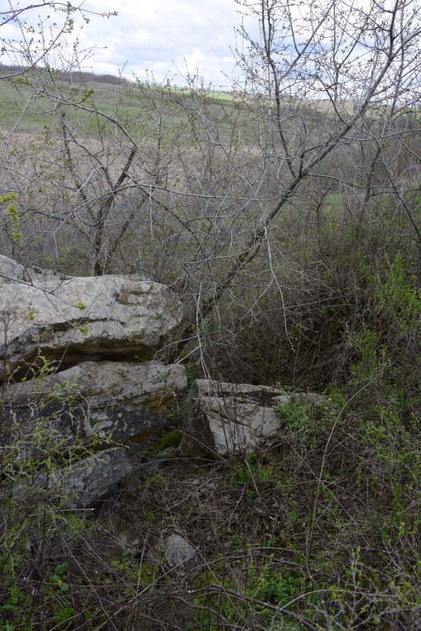 Желтый мир Бургусты