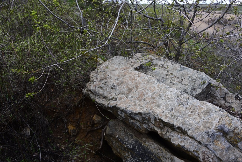 Желтый мир Бургусты