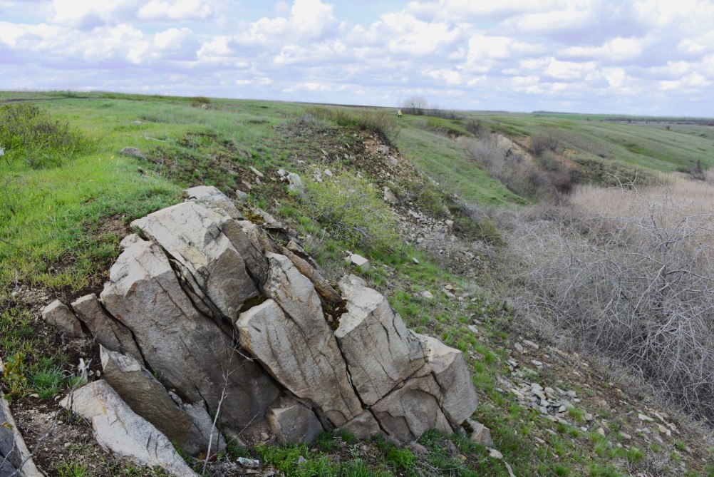 Желтый мир Бургусты