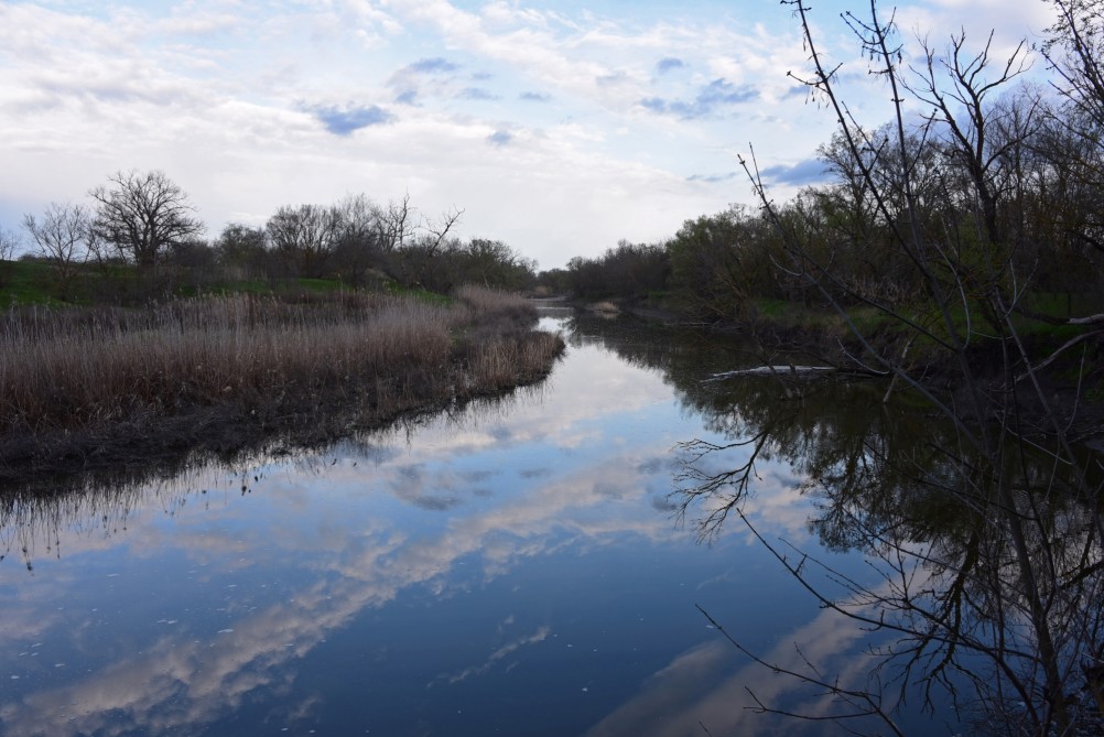 Река Сал у впадения в неё притоков Салок и Сусат