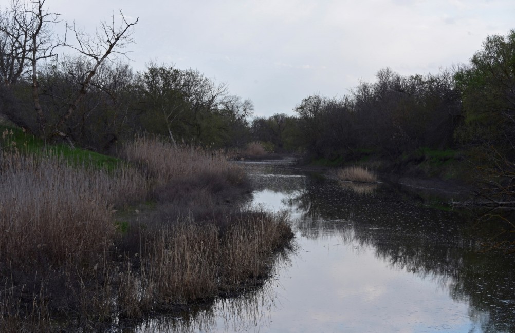 Река Сал у впадения в неё притоков Салок и Сусат