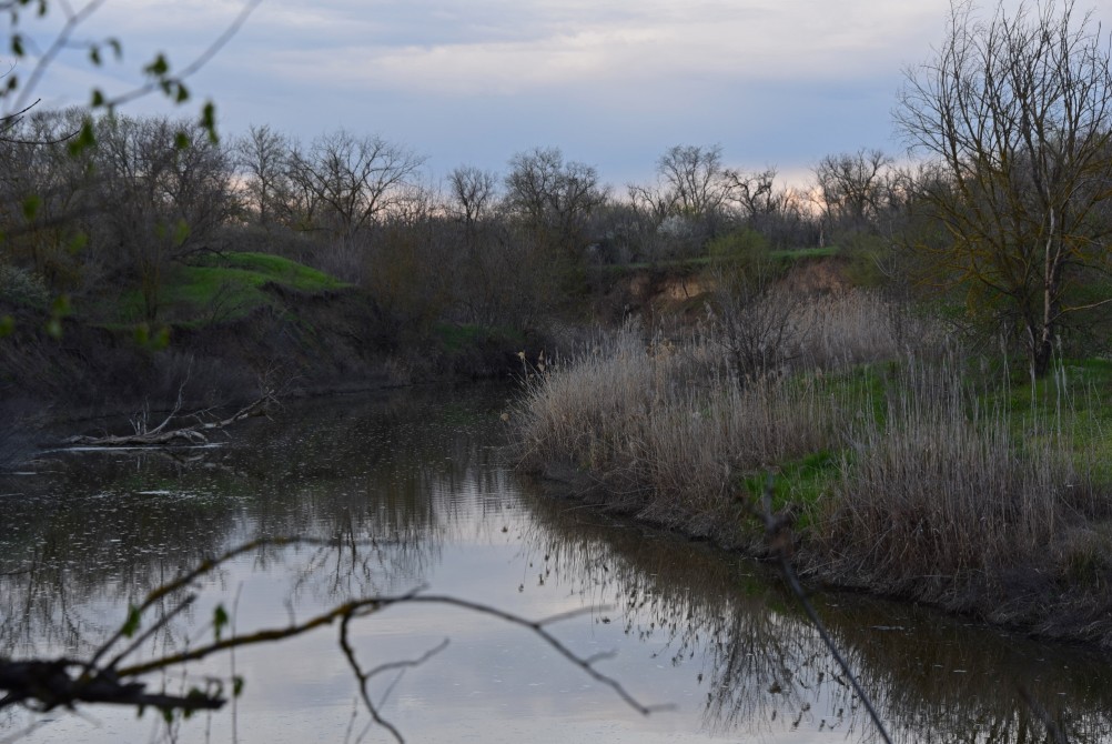 Река Сал у впадения в неё притоков Салок и Сусат