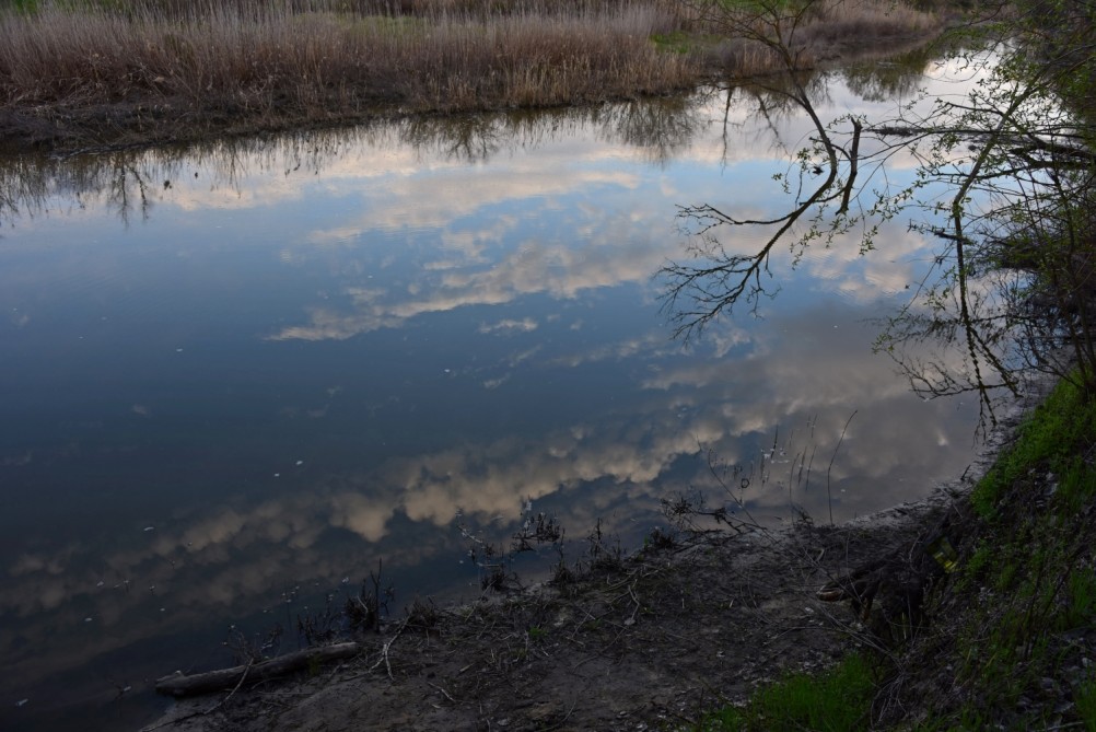 Река Сал у впадения в неё притоков Салок и Сусат