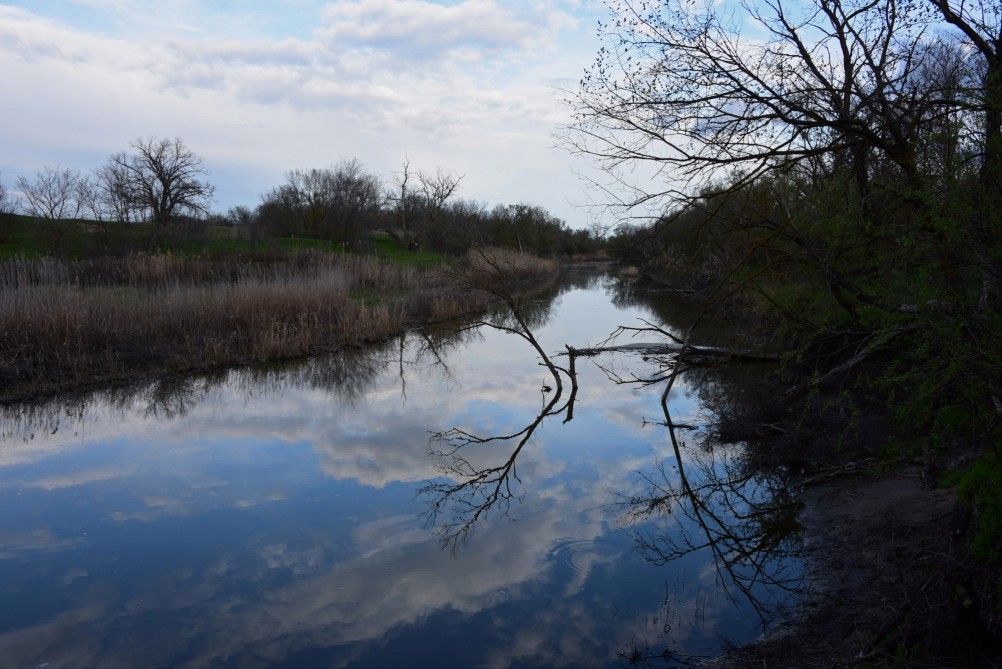 Река Сал у впадения в неё притоков Салок и Сусат