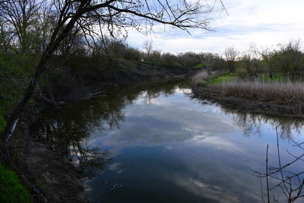 Река Сал у впадения в неё притоков Салок и Сусат