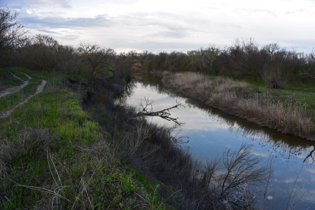 Река Сал у впадения в неё притоков Салок и Сусат