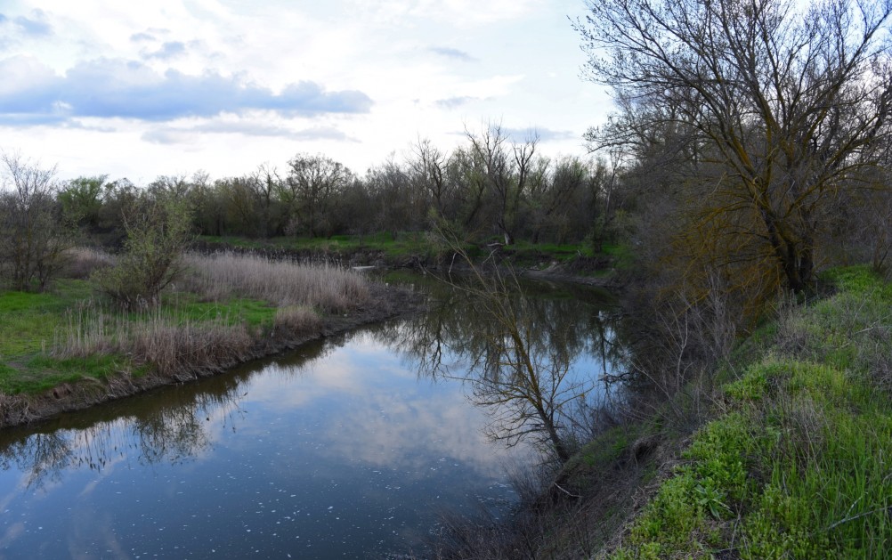 Река Сал у впадения в неё притоков Салок и Сусат