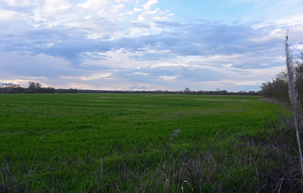 Река Сал у впадения в неё притоков Салок и Сусат