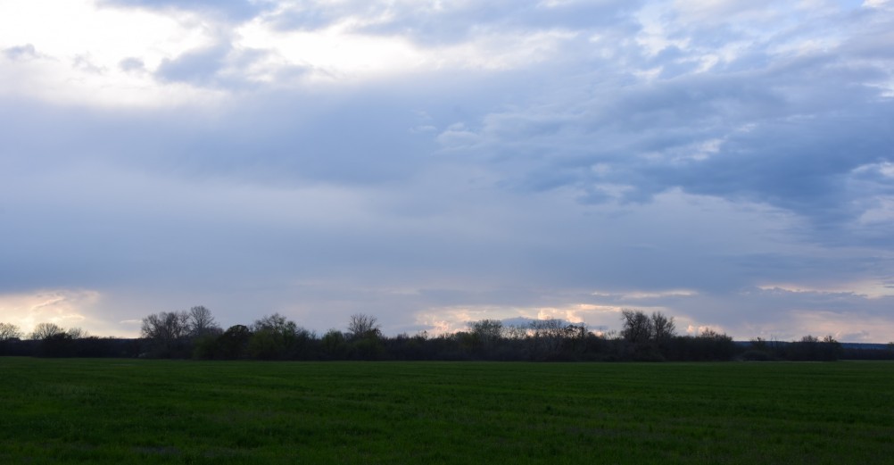 Река Сал у впадения в неё притоков Салок и Сусат