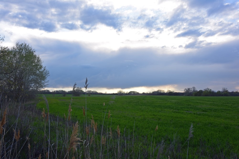 Река Сал у впадения в неё притоков Салок и Сусат