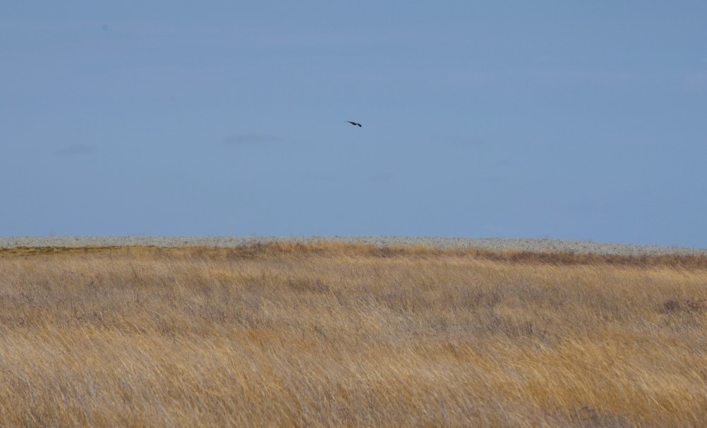 История русской колонии Тмутаракань