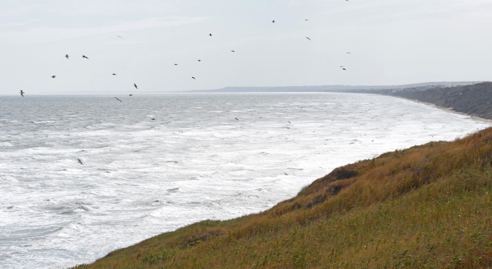 История русской колонии Тмутаракань