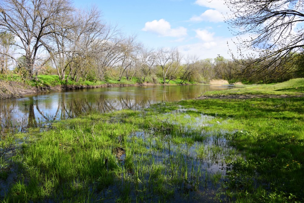 На Тузлове ранней весной у старого брода.