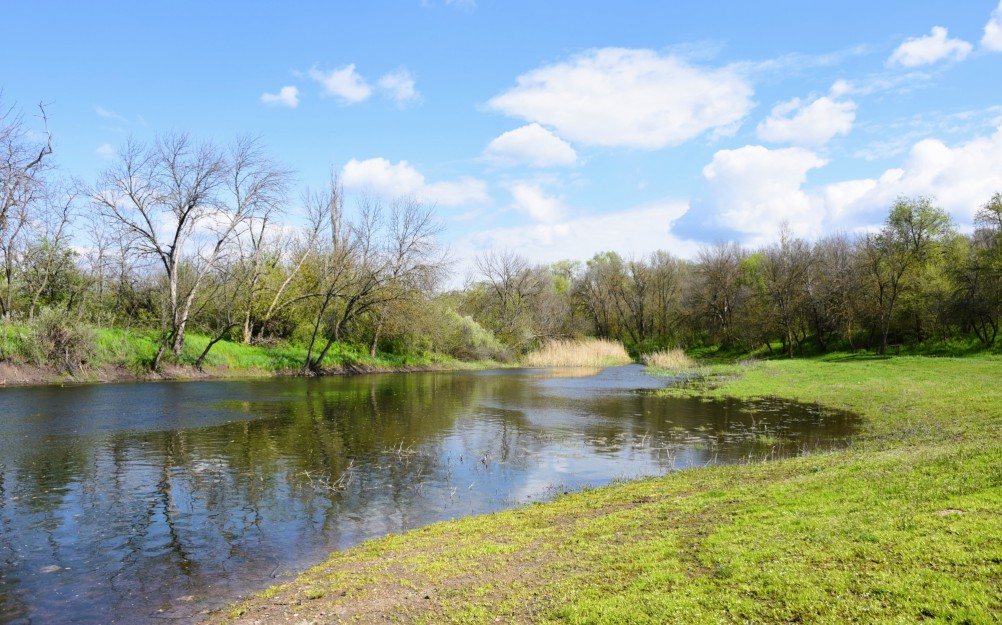 На Тузлове ранней весной у старого брода.