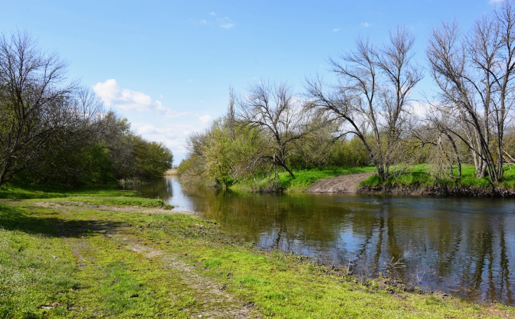 На Тузлове ранней весной у старого брода.