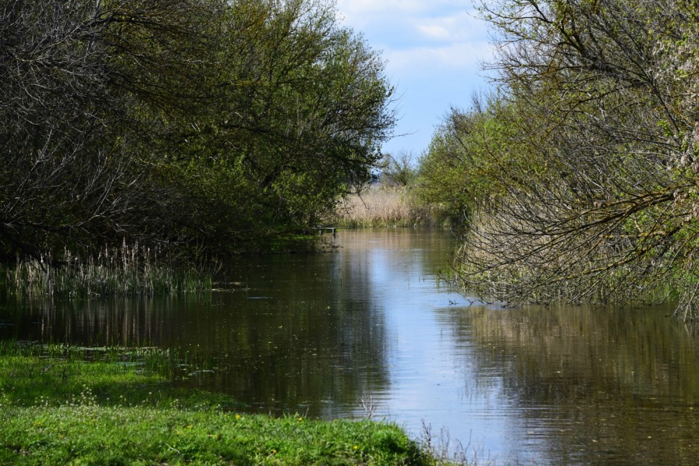На Тузлове ранней весной у старого брода.