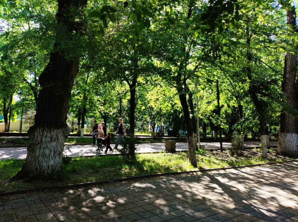 Май в парке Горького