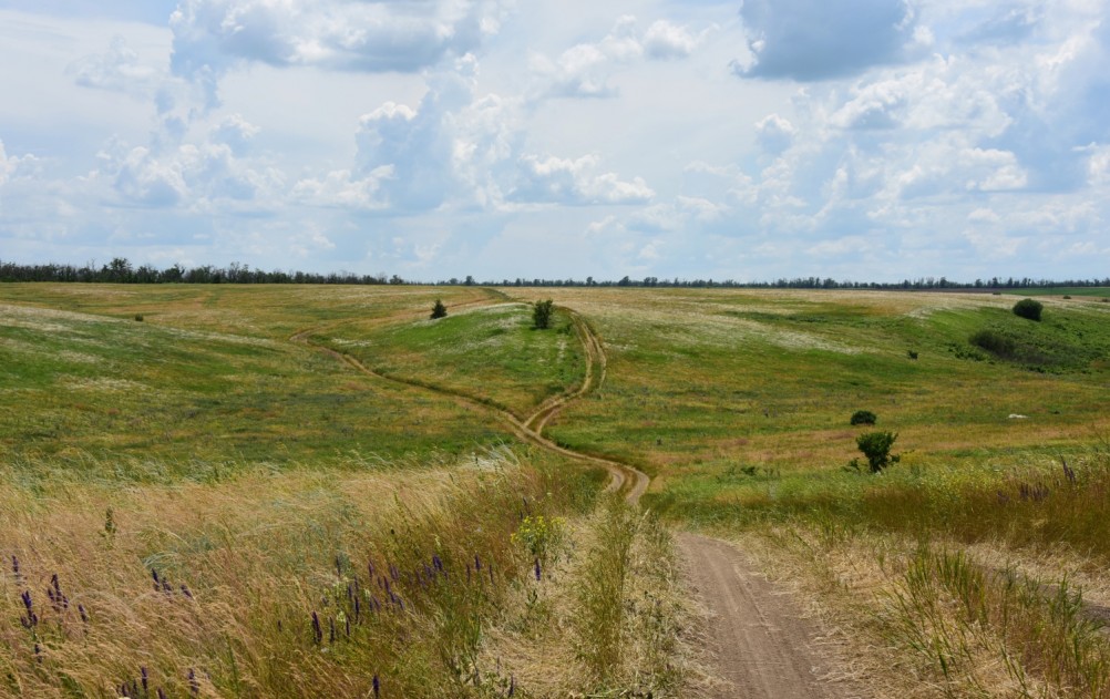 Степь ковыльная потаённая