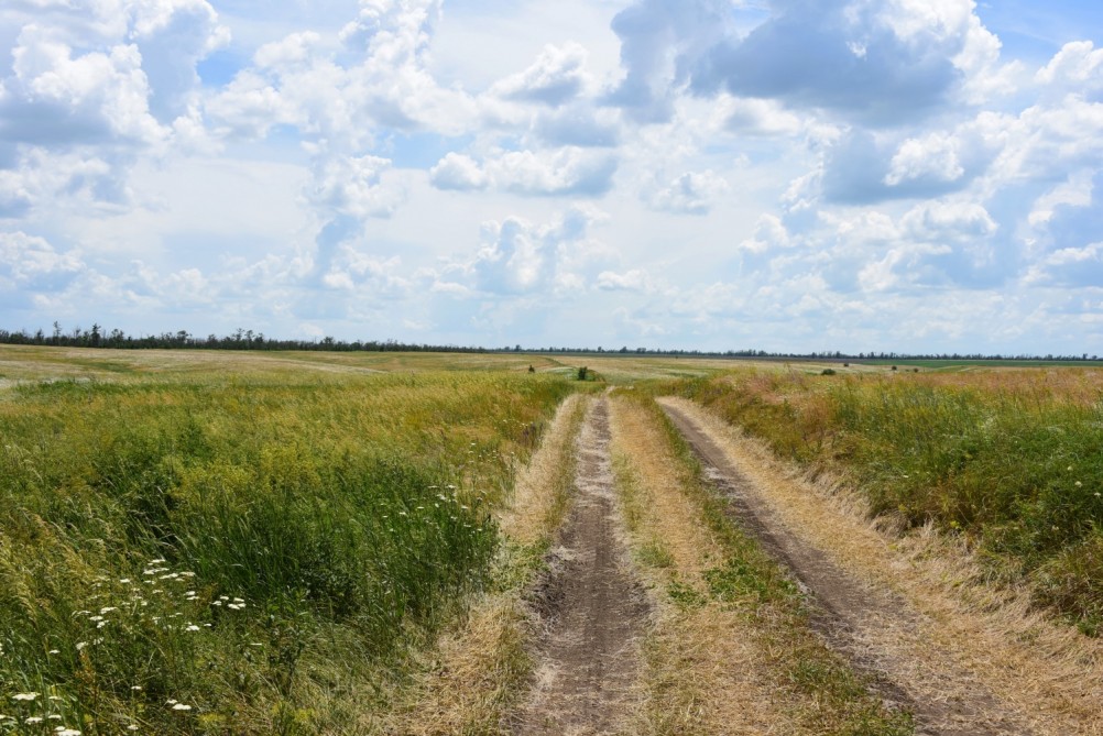 Степь ковыльная потаённая