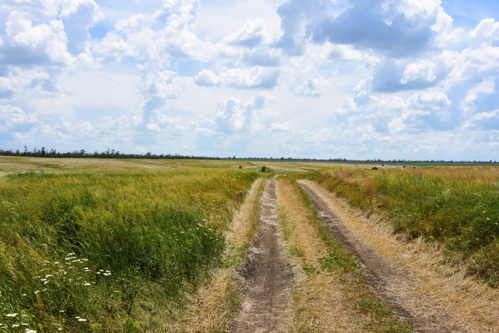 Степь ковыльная потаённая