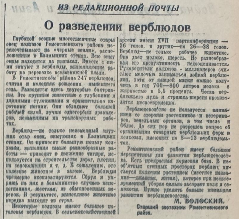 Последний мирный день в Ростове на Дону в 1941 г.
