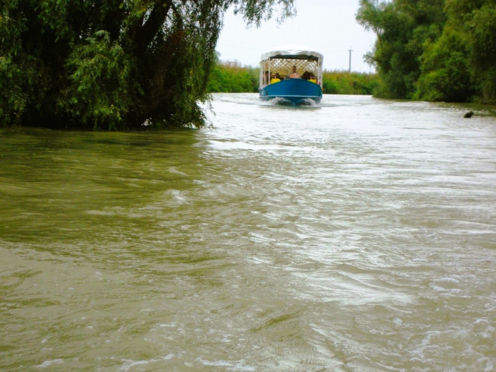 Долина лотосов в Ахтанизовском лимане