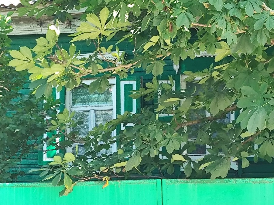 Мечётка
