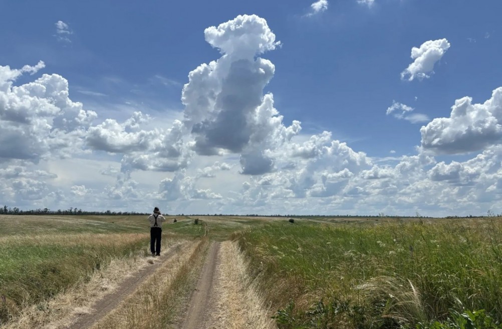ковыльно-типчаковые степи