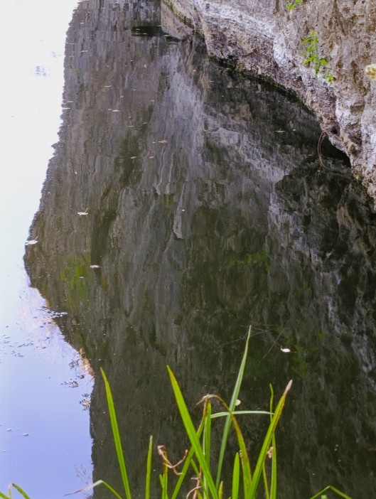 Белая скала на Калитве, водяной и старая гребля